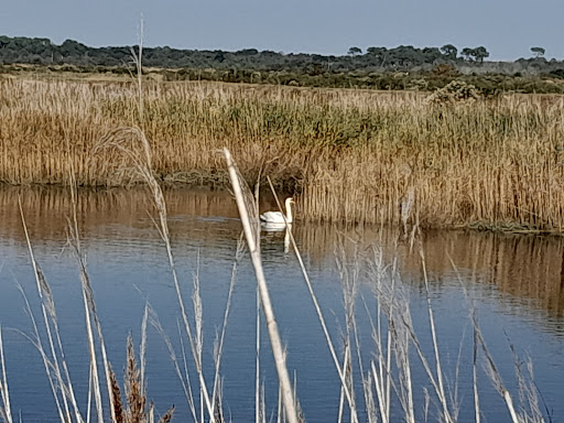 ACC LE TEICH