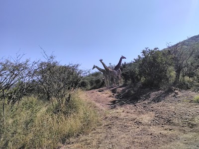 Photos of Thangami mineral spa and game reserve