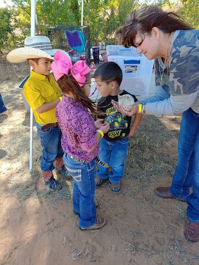 Red River Pumpkin Patch