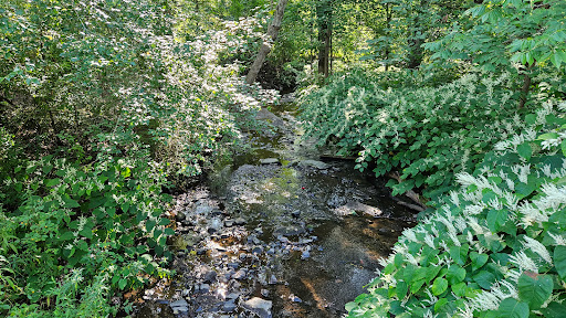 Mittineague Park - Conservation area - Thumbnail