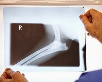 Photos of Riverforest Veterinary Centre