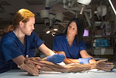 West Midlands Surgical Training Centre coventry