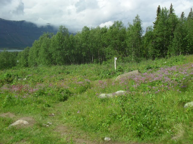 Kungsleden Trail