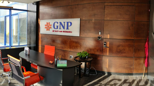 Fotografía de MY BEST INSURANCE (SEGUROS PARA MEXICO) Interior