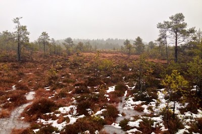 Photos of Kadja j&auml;rve matkarada