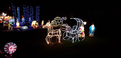 Royalwood Christmas Light Display