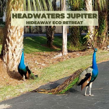 Headwaters Jupiter by null