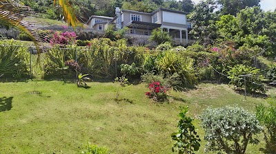 Photos of University of the West Indies (Western Jamaica Campus)