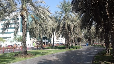 Photos of Muteena Park حديقة المطينة