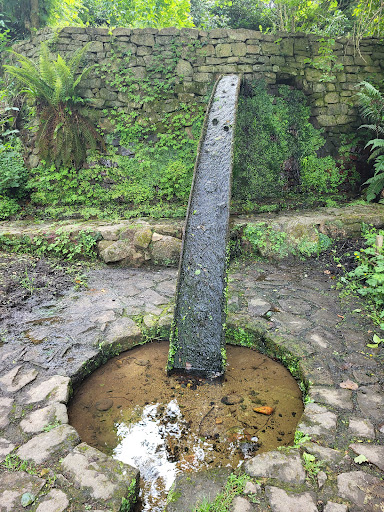 Source du Stanco - Visual