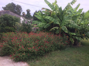 Photo n°15 de La Halte de Segondignac à Saint-Germain-d'Esteuil (Chambre d'hôtes)