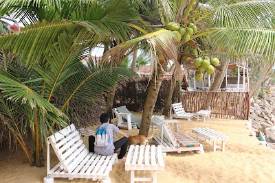 Photos of Cocopalmbeachhostel