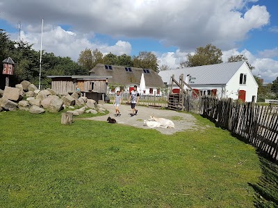Photos of Randers Regnskov