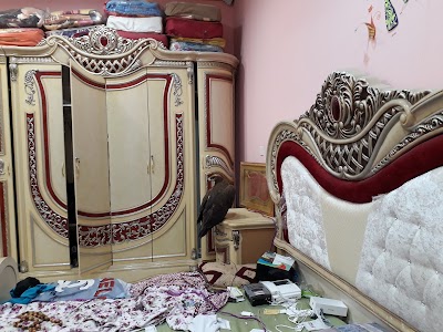 Photos of Mosque and the Shiite shrine of Imam Ali bin Abi Talib