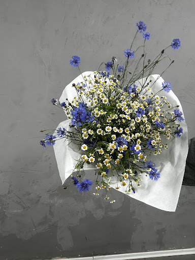Blumen Marzahn - Visual