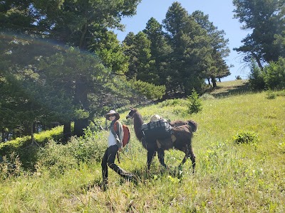 Montana Llama Guides of Bozeman