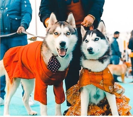 Af1qipphbkuhpwqij9xnyscpjhm2htp4mq Ifpw4xobw=s461 K No