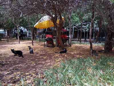 Photos of Dadaab Aid Agencies Camp