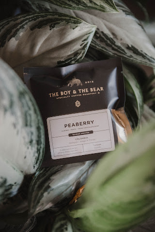 The Boy & The Bear - Coffee Roastery by null