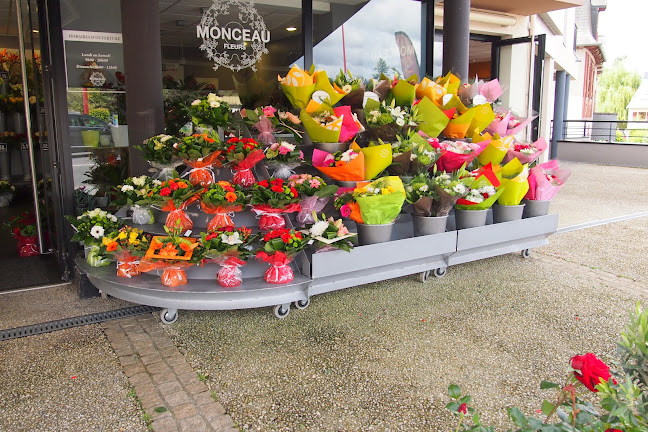 Numéro de téléphone de Monceau Fleurs