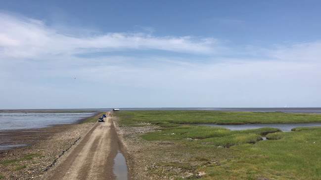 Anmeldelser af Mandø Centret i Ribe - Museum