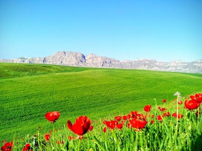 Photos of دەشتی مەمەنداوە