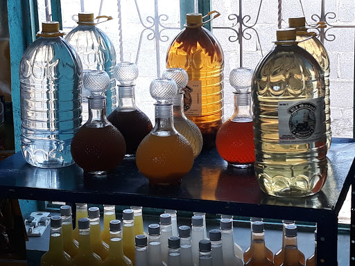 Sotol Torrecillas - Thumbnail
