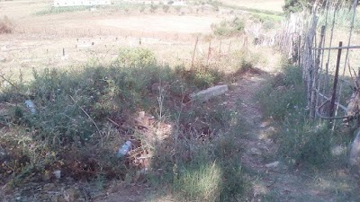 Photos of مقبرة