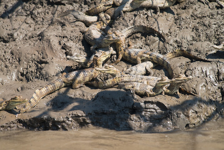 Inkaterra Hacienda Concepcion by null