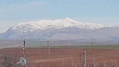 Photos of Adiyaman Airport