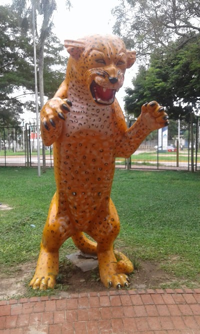 Photos of Los Mangales III Park