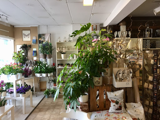 Trollsländans Blomsterprakt