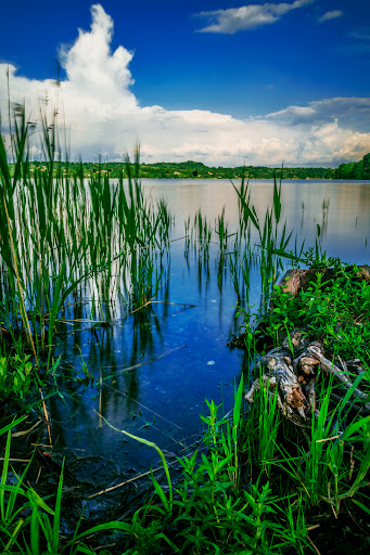 Cadrezzate parco comunale - Thumbnail