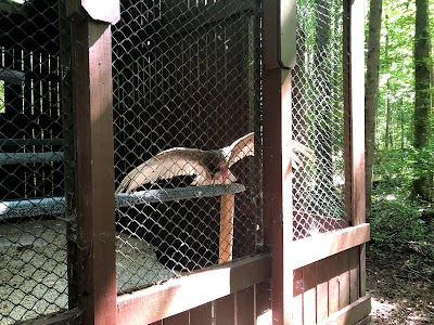 Carolina Raptor Center