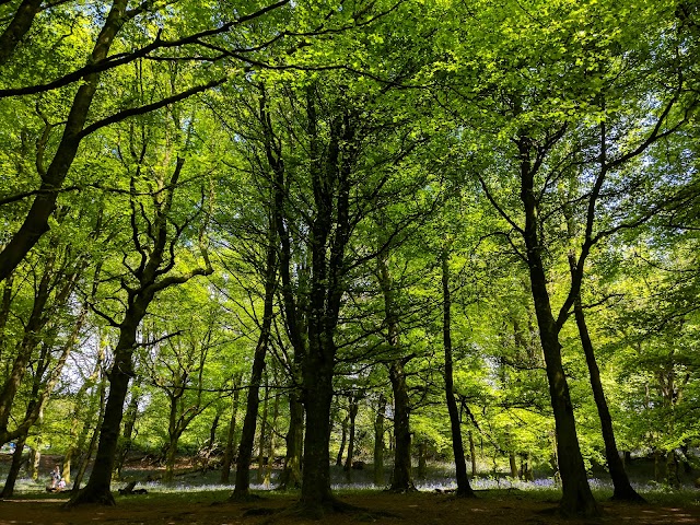 Wenallt Car Park