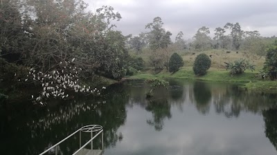 Photos of Hotel Arenal Manoa
