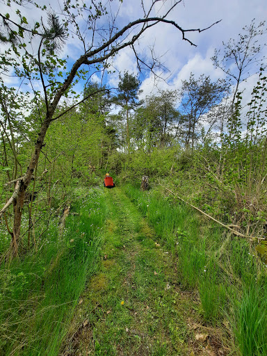 Holzfällerland - Visual