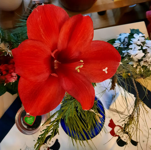Blumen Chrischan Blumenboutique Gallery - Germany