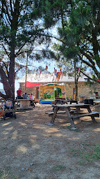 Photo n°28 de Les Pipelettes à Les Touches (Restaurant)