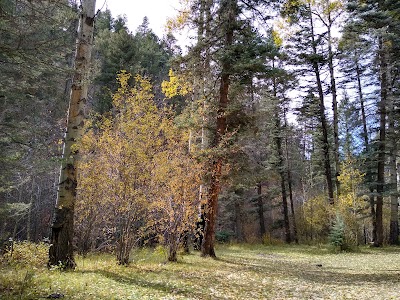 Aspen Basin Campground