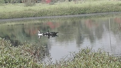 Photos of Laguna de la Herrera