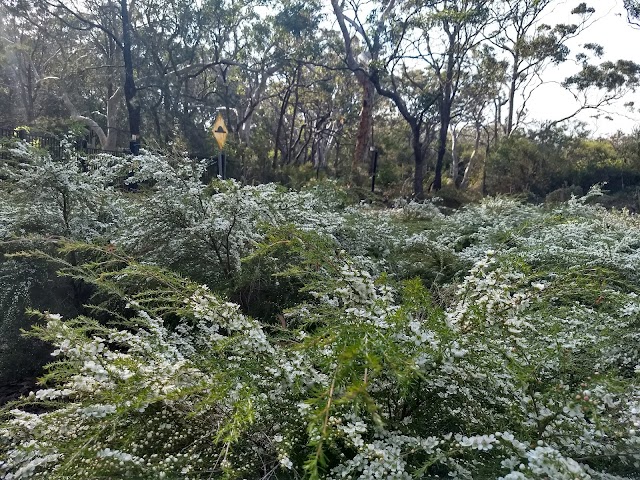 Booderee Botanic Gardens