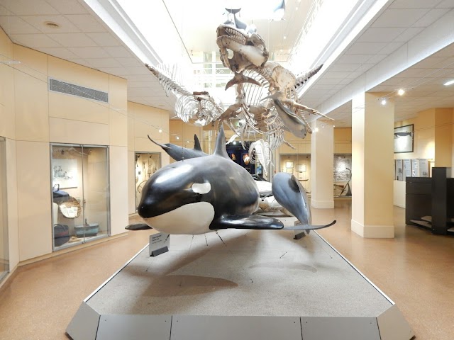 Aquarium de Biarritz