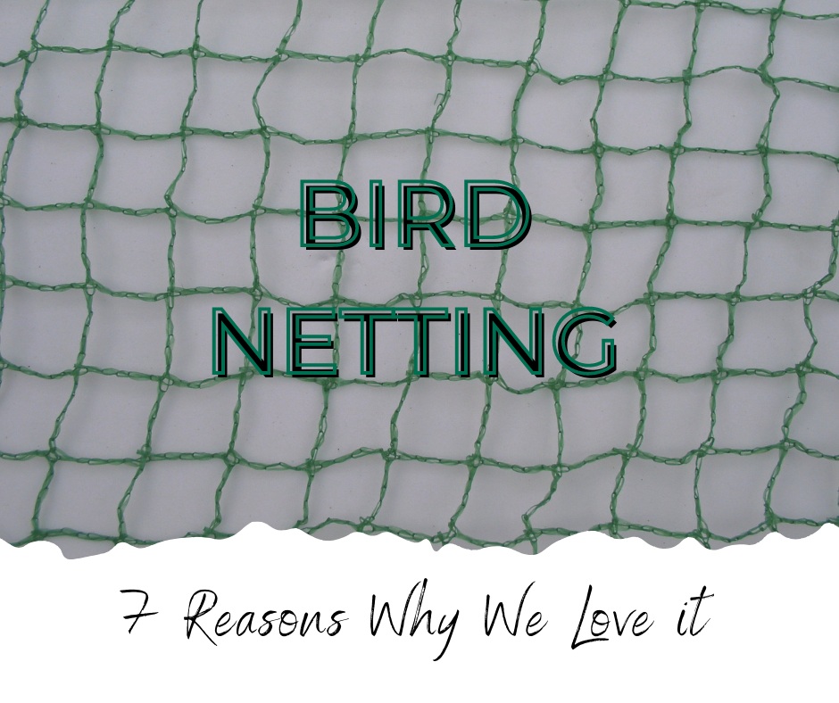 Bird Netting – 7 Reasons Why We Love it