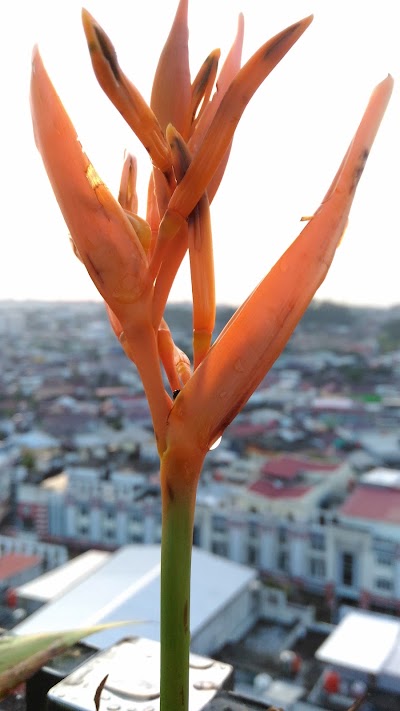 Photos of Japonica Spa & Fitness