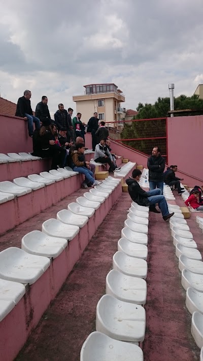 Photos of Pendik Stadium