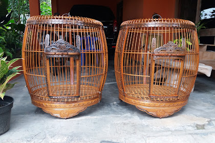 peternak ayam bekisar di jogja