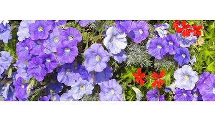 Tandlæge Allan Bo Svendsen