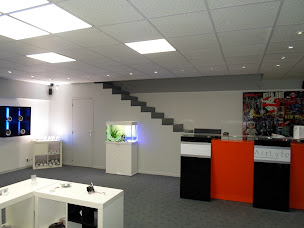 Photo n°1 de Arclyte à Puget-sur-Argens (Magasin de luminaires)