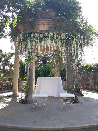 Flowers and Events by Heidi Francis - Thumbnail